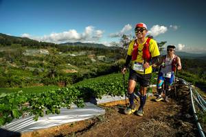 BIB: 9549
                            <button type="button" onclick="openModal(19124163)" class="btn btn-primary btn-sm float-right btn-popup" data-toggle="modal" data-target=".modal-high-quality">
                        <i class="fas fa-shopping-cart"></i> Add to Cart
                    </button>
                                            <button type="button" onclick="isThisMe(19124163, true)" class="btn btn-success btn-sm float-right btn-popup btn-isme hidden" data-toggle="tooltip" data-placement="bottom" title="นี่คือรูปของคุณใช่ไหม คลิกที่นี่เพื่อเอาเข้าอัลบั้ม">
                        <i class="fas fa-plus"></i> Add to album
                    </button>
                    <button type="button" onclick="isThisMe(19124163, false)" class="btn btn-warning btn-sm float-right btn-popup btn-isnotme hidden">
                        <i class="fas fa-ban"></i> Remove from album
                    </button>